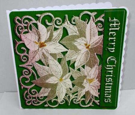 Golden Filigree Poinsettias Featured Gallery Photo