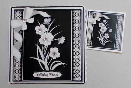 Beautiful in Black and White  by Diane  Vermeer