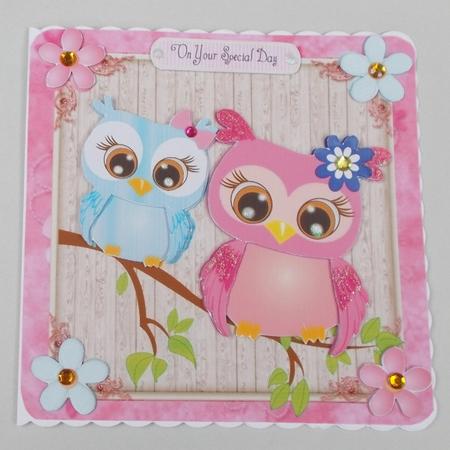 Gorgeous Pink and Blue Owl 8x8 Mini Kit by Diane  Vermeer