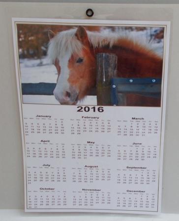 2026 horses by Diane  Vermeer