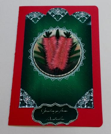 Australian Bottlebrush Birthday or Greeting by Diane  Vermeer