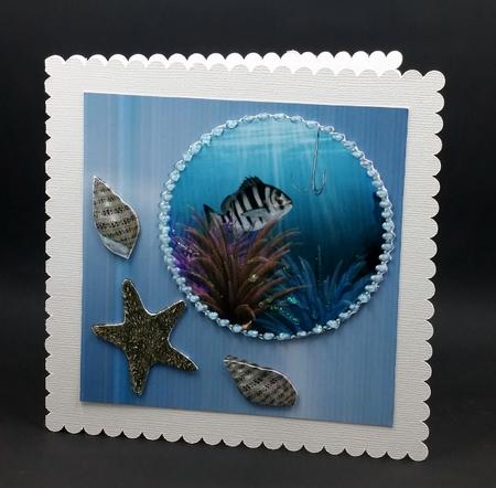 Sea Life by Diane  Vermeer