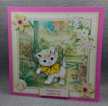 Wishing You a Purrfect Day Card Topper & Decoupage by Diane  Vermeer