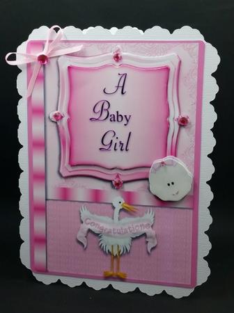 Baby Girl Pink by Diane  Vermeer