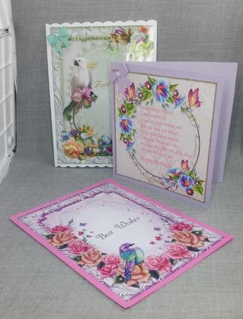 Assorted Card Pack 4 by Diane  Vermeer