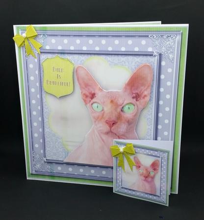 Bald is Beautiful Card Kit by Diane  Vermeer