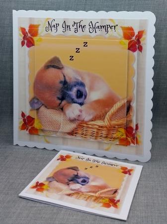 Sleepy Puppy Pyramid Mini Kit by Diane  Vermeer