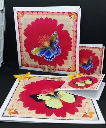 Daisy & Butterfly Birthday Bumper Kit by Diane  Vermeer