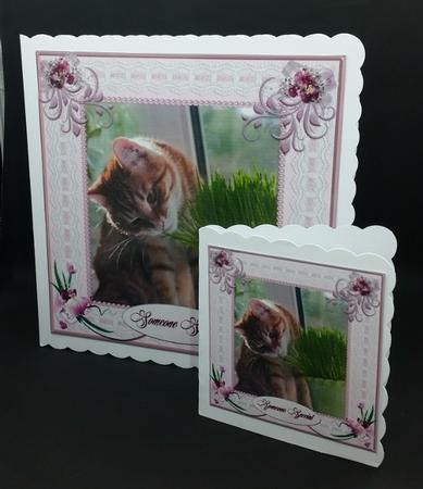 Cat Nip Please Multi Use Card Front by Diane  Vermeer