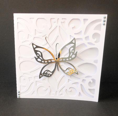 353 Butterflies  by Diane Baldrey