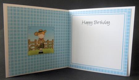 Cowboy Zeb & Postbox Matching Square Insert by Diane Baldrey