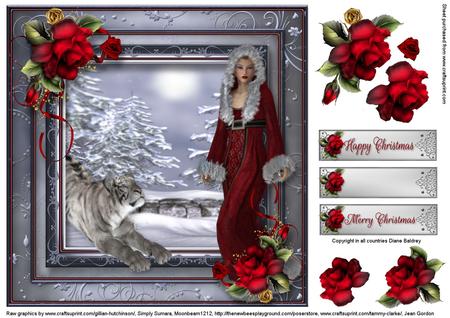 Cacwinterblitz1 by Diane Baldrey
