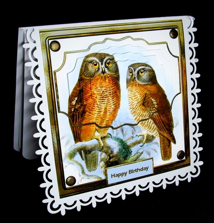 Owls Together Card with Shaped Layer Stackers by Dianne Jackson