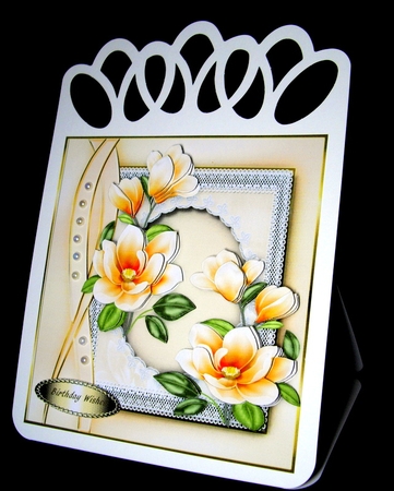 Beautiful Mmagnolias on Lace  by Dianne Jackson