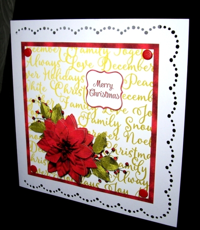 Poinsettia  by Dianne Jackson