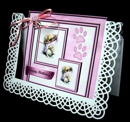 Playful Kittens by Dianne Jackson