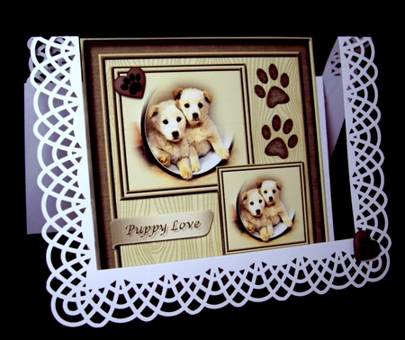 Puppy Love by Dianne Jackson