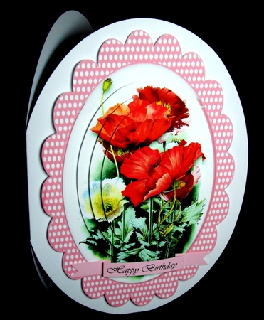 Beautiful Poppies in a Oval Mmat  by Dianne Jackson