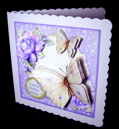 Spread Your Wings and Fly by Dianne Jackson