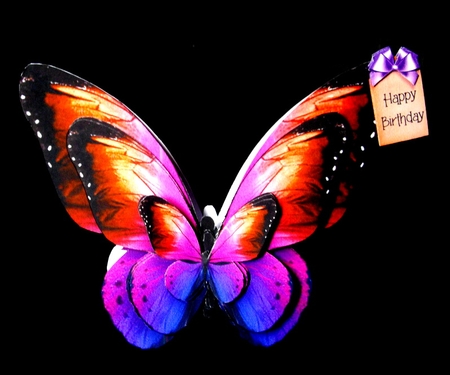 Butterfly Shaped A Frame Card - BA12 by Dianne Jackson