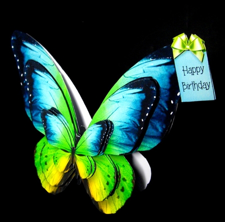 Butterfly Shaped A Frame Card - BA15 by Dianne Jackson