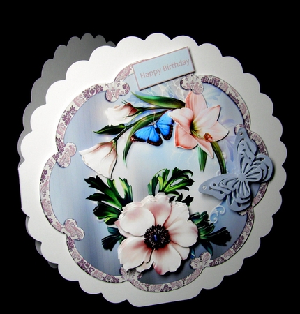 Anemone by Dianne Jackson