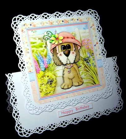 POPPYS NEW HAT 8x8 All Occasions Decoupage & Insert Mini Kit by Dianne Jackson