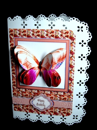 Glasswing - Apricot 3D Butterfly Window Card by Dianne Jackson