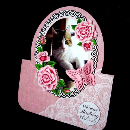 Charlie is a Darling by Dianne Jackson