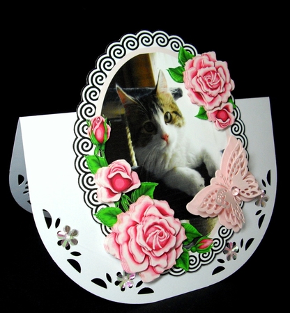 Charlie is a Darling by Dianne Jackson