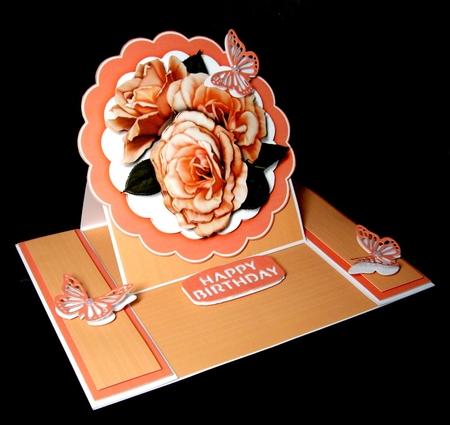 Beautiful Roses on a Orange  mat  by Dianne Jackson