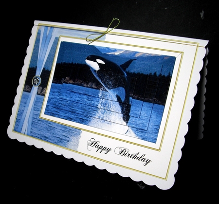 Killer Whale Birthday Mini Kit by Dianne Jackson