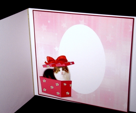 Wishing you a PurrFect Birthday - Insert by Dianne Jackson
