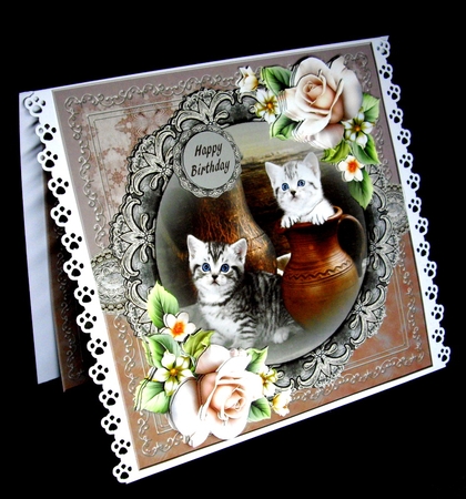 Cute Cats by Dianne Jackson