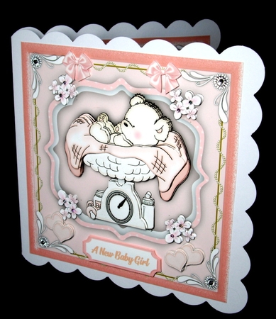 New Baby Girl To Love by Dianne Jackson