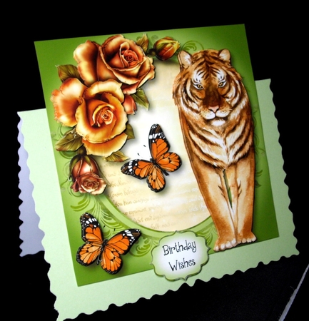 Tiger Tiger - Watercolour Wonder by Dianne Jackson