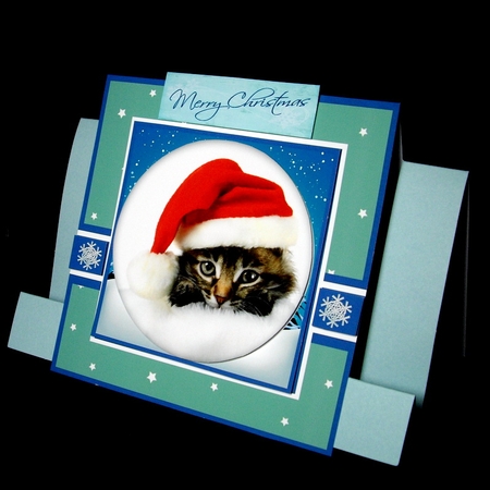 Cute Kitty Christmas by Dianne Jackson