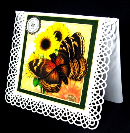 Brown Butterfly by Dianne Jackson