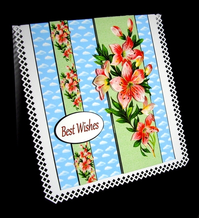 Flower Border by Dianne Jackson