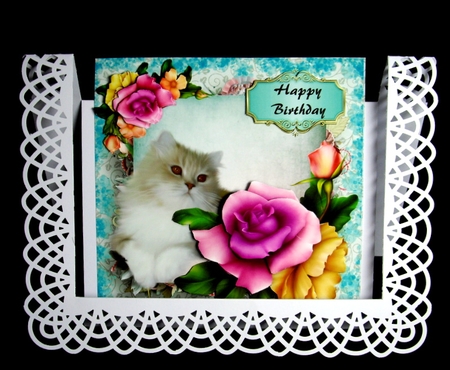 Beautiful cat in the flowers by Dianne Jackson