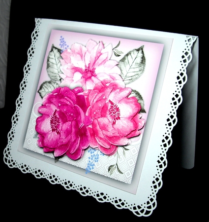 Stunning Lilac and Pink Roses by Dianne Jackson