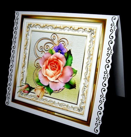 Pink rose by Dianne Jackson