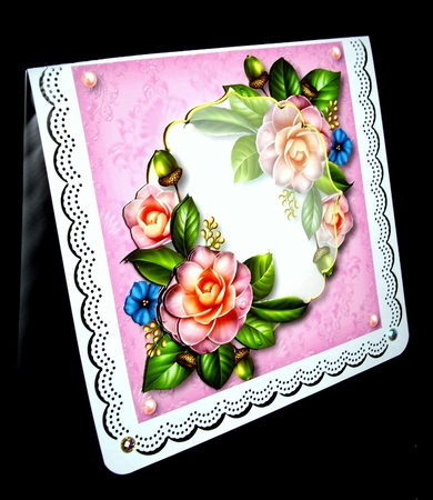Floral Transparency - Camelia by Dianne Jackson