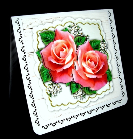 Pink Roses by Dianne Jackson