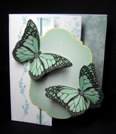 Natural Butterfly by Dianne Jackson