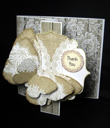 Wood and Lace Background 1 by Dianne Jackson