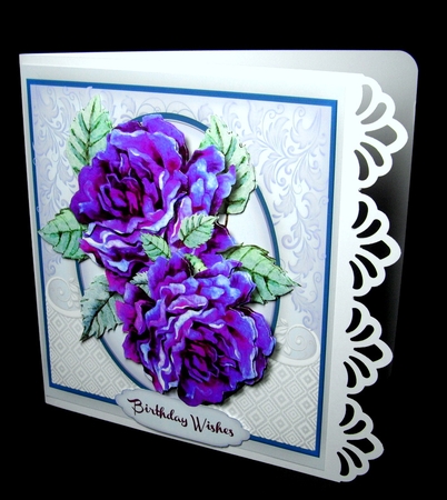 Stunning Deep Mauve Roses  by Dianne Jackson