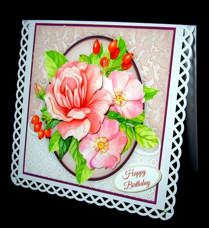 Stunning Wild Pink Roses  by Dianne Jackson