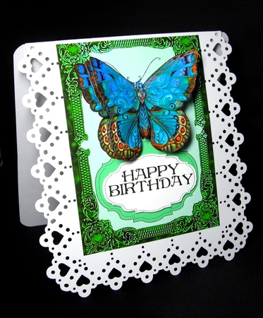 Big Butterfly 1 by Dianne Jackson