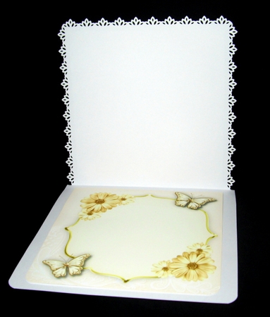 Blank Incert 4 by Dianne Jackson